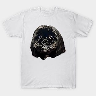 Shih Tzu Dog T-Shirt